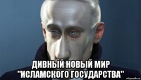  дивный новый мир "исламского государства"