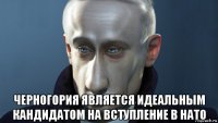  черногория является идеальным кандидатом на вступление в нато