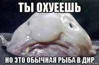 ты охуеешь но это обычная рыба в днр