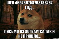 шел 465766758768788767 год... письмо из хогвартса так и не пришло...