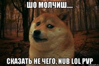 шо молчиш.... сказать не чего, nub lol pvp