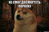 не смог досмортеть порнуху 