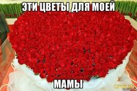 эти цветы для моей мамы