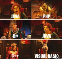 Java PHP C# Java C++ Visual basic