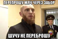 перепрошу мяч через забор шучу не переброшу