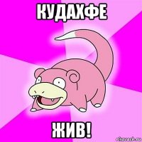 кудахфе жив!