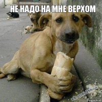  Не надо на мне верхом