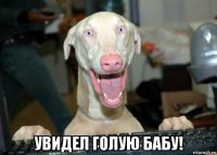  увидел голую бабу!