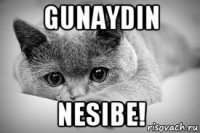 gunaydin nesibe!