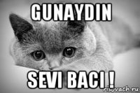 gunaydin sevi baci !