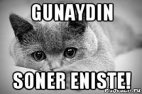 gunaydin soner eniste!