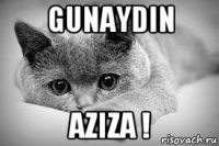 gunaydin aziza !