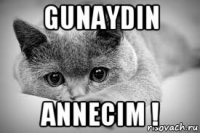 gunaydin annecim !