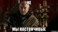 не мы настойчивые