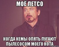 моё летсо когда кемы опять пугают пылесосом моего кота