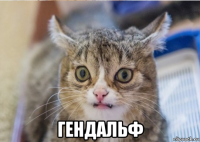  гендальф