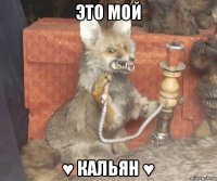 это мой ♥ кальян ♥