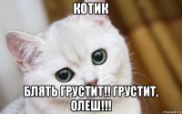 котик блять грустит!! грустит, олеш!!!