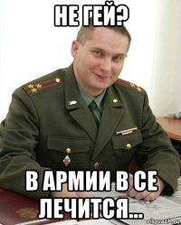 не гей? в армии в се лечится...