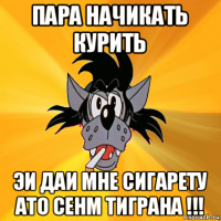 пара начикать курить эи даи мне сигарету ато сенм тиграна !!!