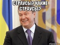 страусы? какие страусы? 