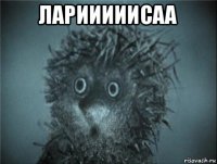 ларииииисаа 