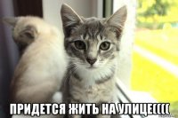 придется жить на улице((((