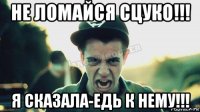 не ломайся сцуко!!! я сказала-едь к нему!!!