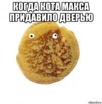 когда кота макса придавило дверью 