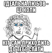 ідеальна любов - це коли кіт сам приходить до тебе спати