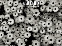 # v d o x 