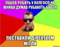 пішов робить у колгосп на жнива думав рубануть бабок поставили діректорм мітли