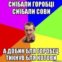 сиїбали горобці сиїбали сови а добин бля горобец тикнув бля котови