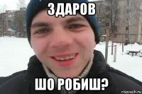 здаров шо робиш?