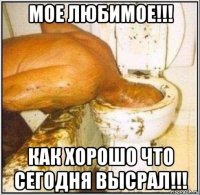 мое любимое!!! как хорошо что сегодня высрал!!!