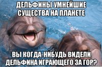 дельфины умнейшие существа на планете вы когда-нибудь видели дельфина играющего за гор?