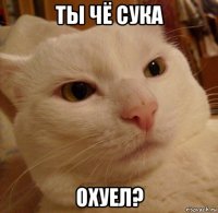 ты чё сука охуел?