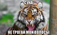 сука не трогай мои волосы