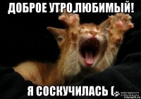 доброе утро,любимый! я соскучилась (
