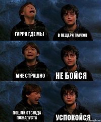 Гарри где мы в пещери пауков мне страшно не бойся пошли отсюда пожалуста успокойся