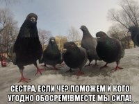  сестра, если че? поможем и кого угодно обосрем!вместе мы сила!