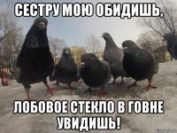 сестру мою обидишь, лобовое стекло в говне увидишь!