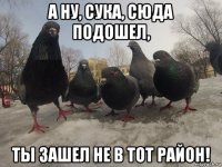 а ну, сука, сюда подошел, ты зашел не в тот район!