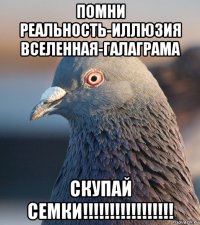 помни реальность-иллюзия вселенная-галаграма скупай семки!!!!!!!!!!!!!!!!!