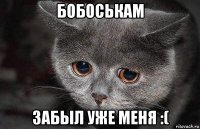 бобоськам забыл уже меня :(