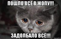 пошло всё в жопу!!! задолбало всё!!!