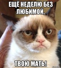 ещё неделю без любимой, твою мать!