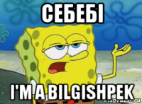 себебі i'm a bilgishpek