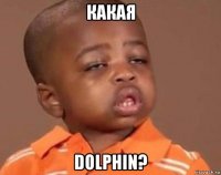 какая dolphin?