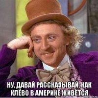  ну, давай рассказывай, как клёво в америке живётся